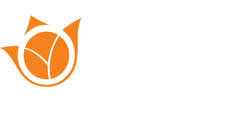footer-logo